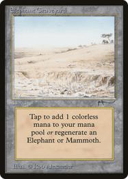 Elephant Graveyard
