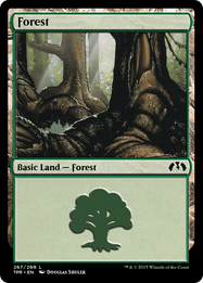 Forest