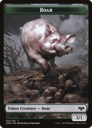 Boar