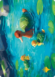 Turtle-Duck // Turtle-Duck