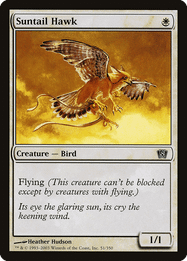 Suntail Hawk