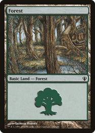 Forest