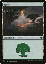 Forest