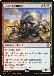 Giant Solifuge