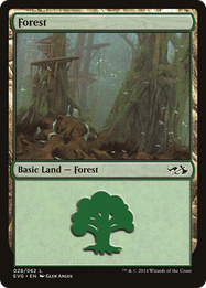 Forest