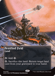 Petrified Field
