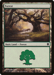 Forest