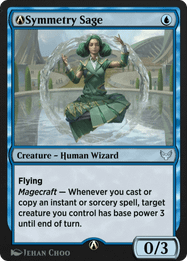 Symmetry Sage