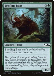 Bristling Boar