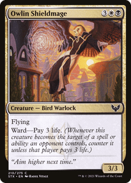 Owlin Shieldmage
