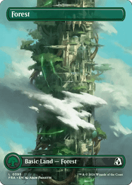 Forest