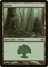 Forest