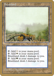 Brushland