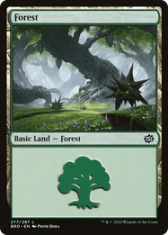 Forest