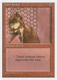 Hurr Jackal