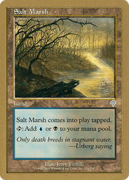 Salt Marsh