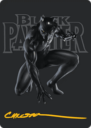 Black Panther, Hope Enduring // Black Panther, Hope Enduring
