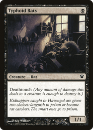 Typhoid Rats