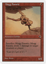 Mogg Fanatic