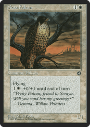 Mesa Falcon