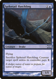 Spiketail Hatchling