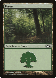 Forest