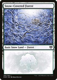 Snow-Covered Forest