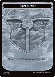 Experience