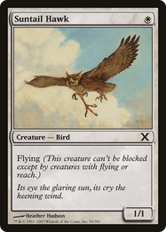 Suntail Hawk
