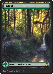 Forest