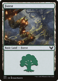 Forest