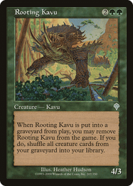 Rooting Kavu