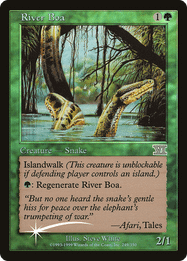 River Boa