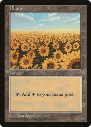 Plains