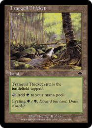 Tranquil Thicket