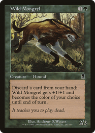 Wild Mongrel