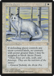 Arctic Foxes