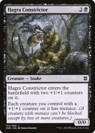 Hagra Constrictor