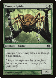 Canopy Spider