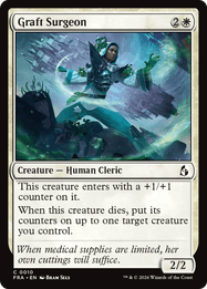 Graft Surgeon