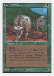 Timber Wolves