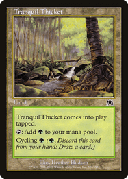 Tranquil Thicket