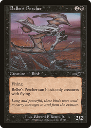 Belbe's Percher