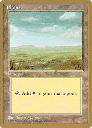 Plains
