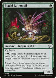 Placid Rottentail