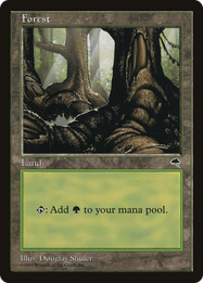 Forest