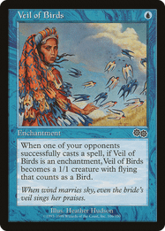 Veil of Birds