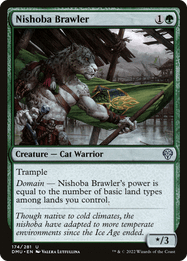 Nishoba Brawler
