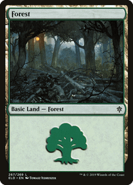 Forest