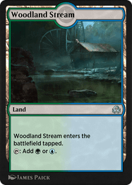 Woodland Stream